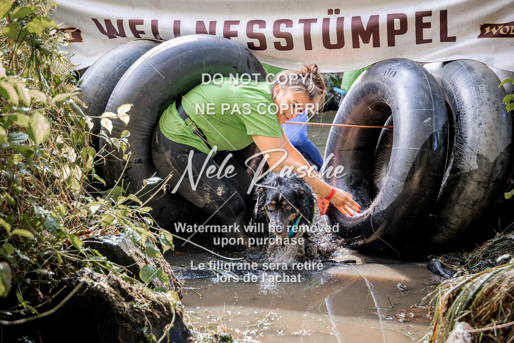 nelerasche_Hunsrück2026_Sa1400-1500_59 | nelerasche