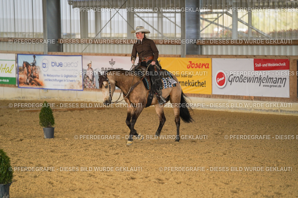 DSC01777 | Pferdegrafie