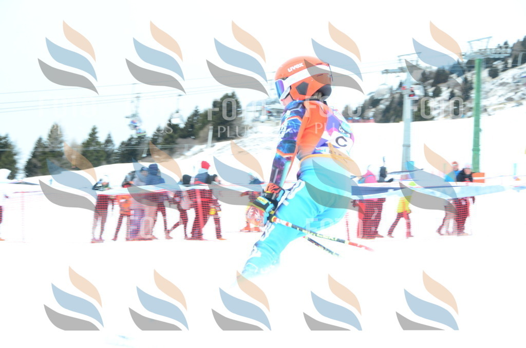 DSC_0618 | holidayphoto