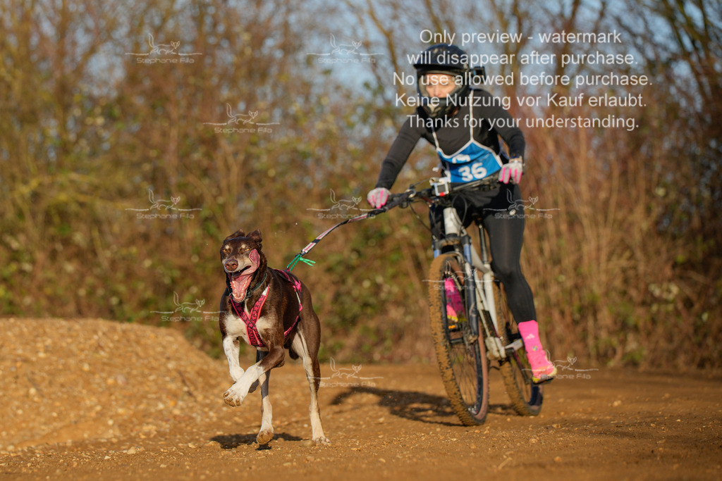 So_DVGBSP2025_Bike (317 von 358) | stephaniefillaphotographie - Realisiert mit Pictrs.com