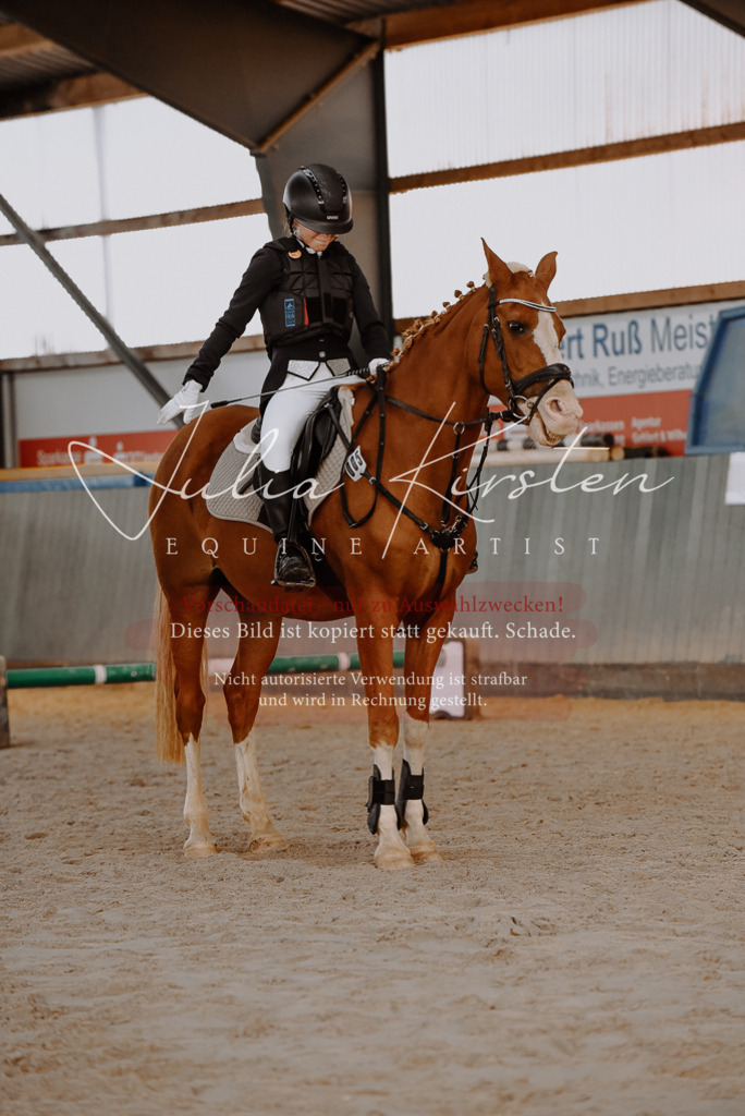 DSC_7447 | Pferde- und Turnierfotografie in Westsachsen. Pferdeportraits, Auftragszeichnungen und intuitive Kunst.
