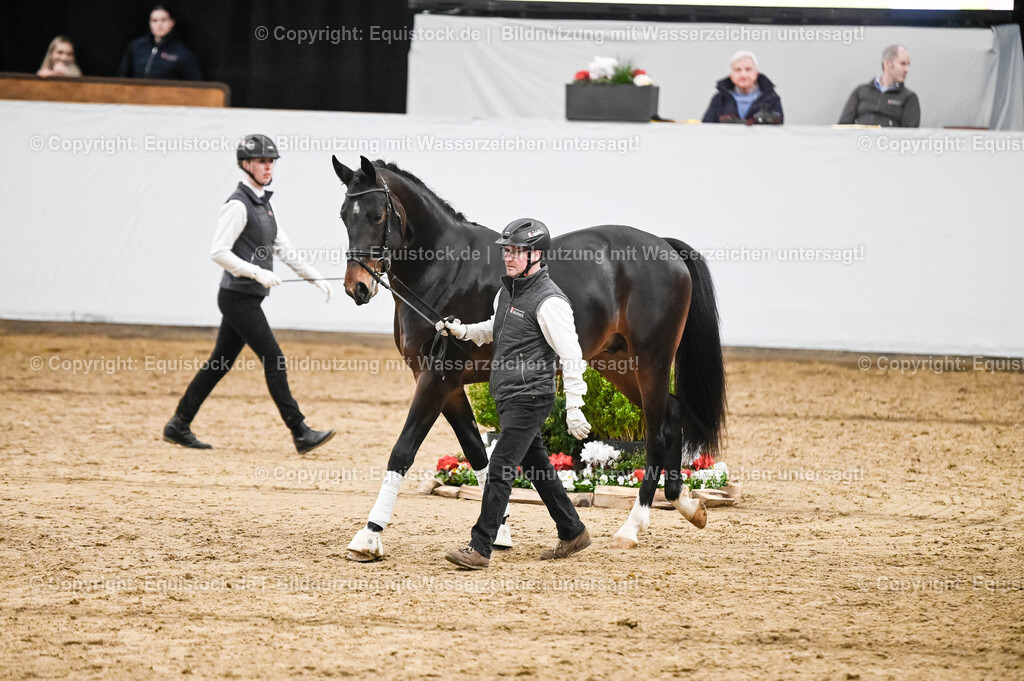 20260307_Hengstvorstellung-Marbach_0305 | equistock