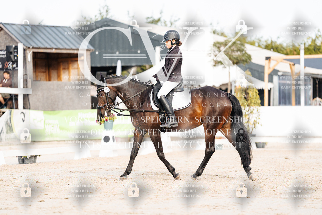 CK904604 | Turnierfotografie Pferdefotografie Trier Rheinland-Pfalz Pferdesport Reitsport Tierfotografie Sportfotografie Pferdevideo Pferdevideografie Equestrianvideography equestrianphotography  - Realisiert mit Pictrs.com