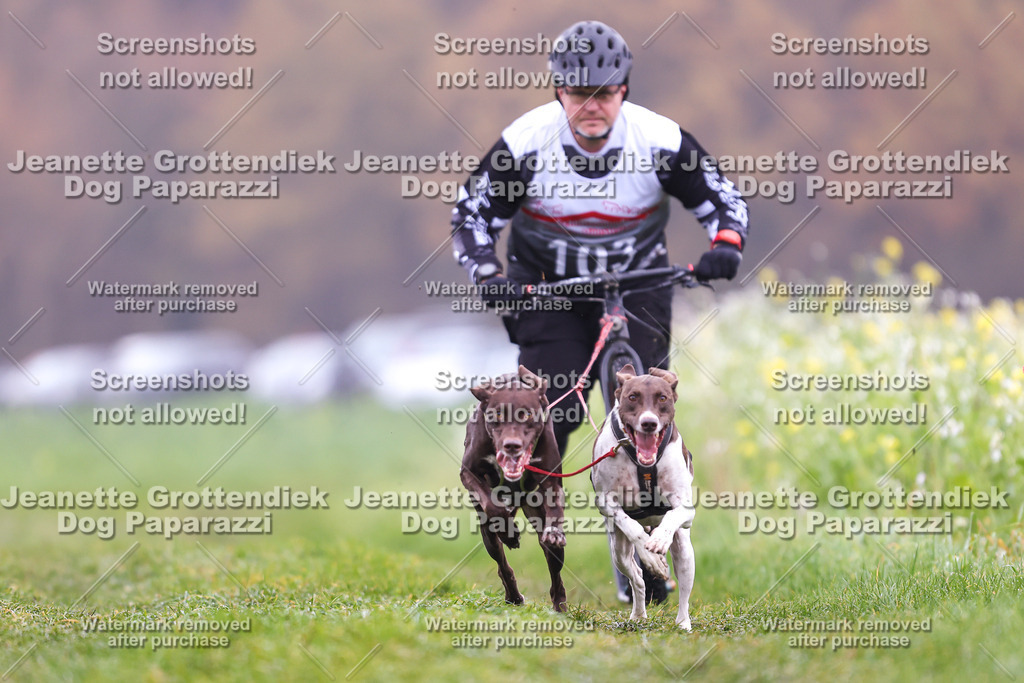Dog Paparazzi - Visbeck 25 -88 | Dog Paparazzi Jeanette Grottendiek Fotografie & Videografie - Realisiert mit Pictrs.com