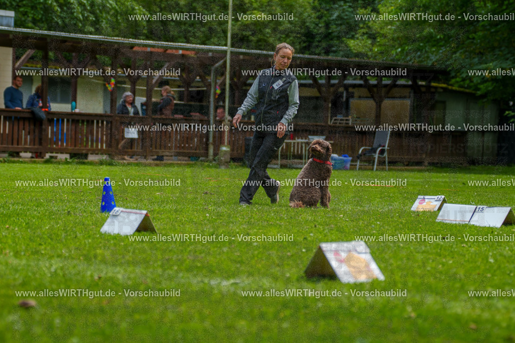 @allesWIRTHgut_Tierfotografie - www.allesWIRTHgut.de - 7R501128 | Professionelle Tierfotografie in Mönchengladbach von Daniel Wirth (allesWIRTHgut). Liebevolle & natürliche Bilder von Hunden & Katzen für unvergessliche Erinnerungen.