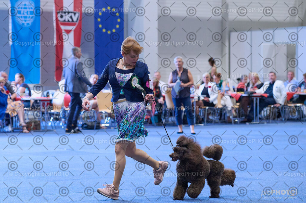 202406_ÖKV-IHA-Tulln24_DSC_4187 | proPHOTO - Realisiert mit Pictrs.com