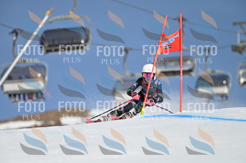 BGV_7785 | holidayphoto