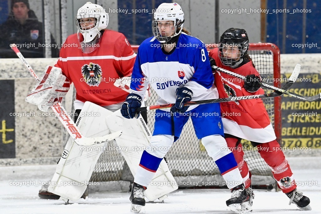 BST_3798 | hockey sports photos, Pressefotos, Sportfotos, hockey247, win 2day icehockeyleague, Handball Austria, Floorball Austria, ÖVV, Kärntner Eishockeyverband, KEHV, KFV, Kärntner Fussballverband, Österreichischer Volleyballverband, Alps Hockey League, ÖFB, 