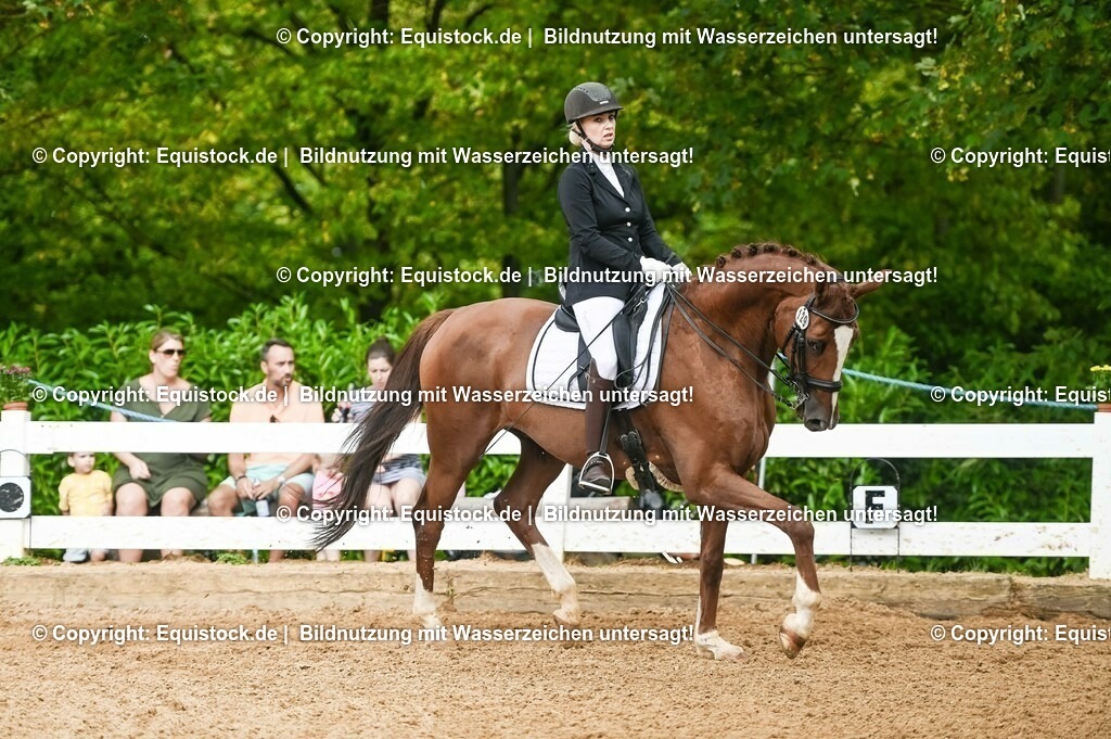 20230716_01_Dressurprüfung Kl.M_0530 | equistock