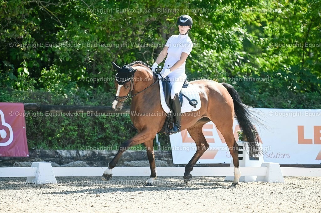 20230908_06_Dressur-L-Trense_0819 | equistock