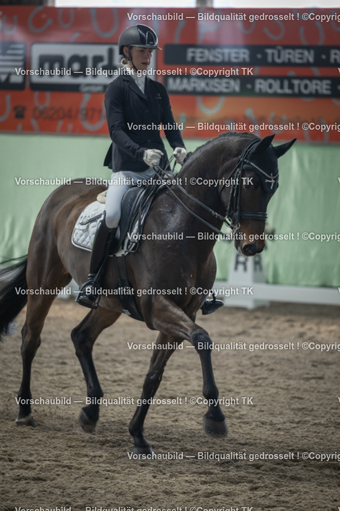 _D5A4477 | Emotionale Pferde- & People-Fotografie rund um Heidelberg, Leimen & Umgebung. Natürliche Fotos von Pferd, Mensch & Familie. Jetzt Termin sichern!