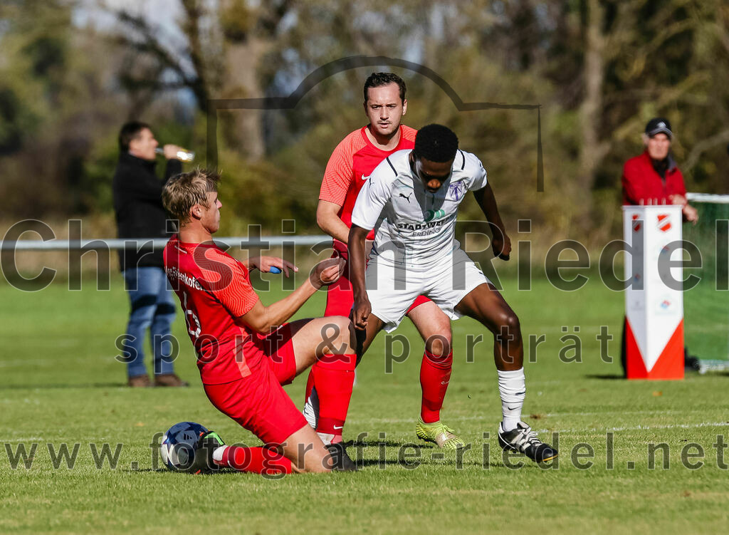 2023-10-22_046_SpVgg_Eichenkofen_gegen_SpVgg_Altenerding_II | Erding, Deutschland, 22.10.2023:
Fußball, A-Klasse 2023 / 2024, 12. Spieltag, SpVgg Eichenkofen gegen SpVgg Altenerding II, Endergebnis: 3:1

Jesse Tauber (SpVgg Eichenkofen, #6), +a12+

Foto: Christian Riedel / fotografie-riedel.net