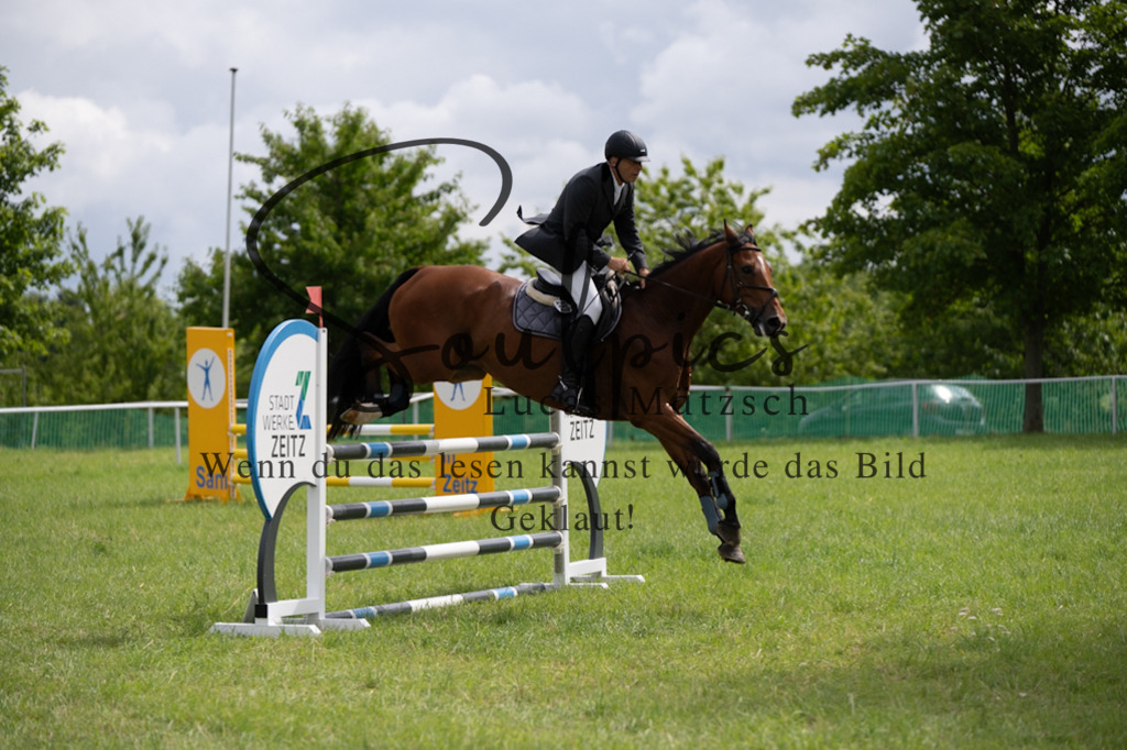 A7V04147 | Turnier/Reitfotograf