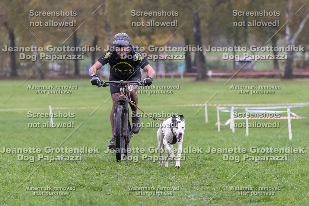 Dog Paparazzi - SD CaniX Championship 2025-928 | Dog Paparazzi Jeanette Grottendiek Fotografie & Videografie - Realisiert mit Pictrs.com