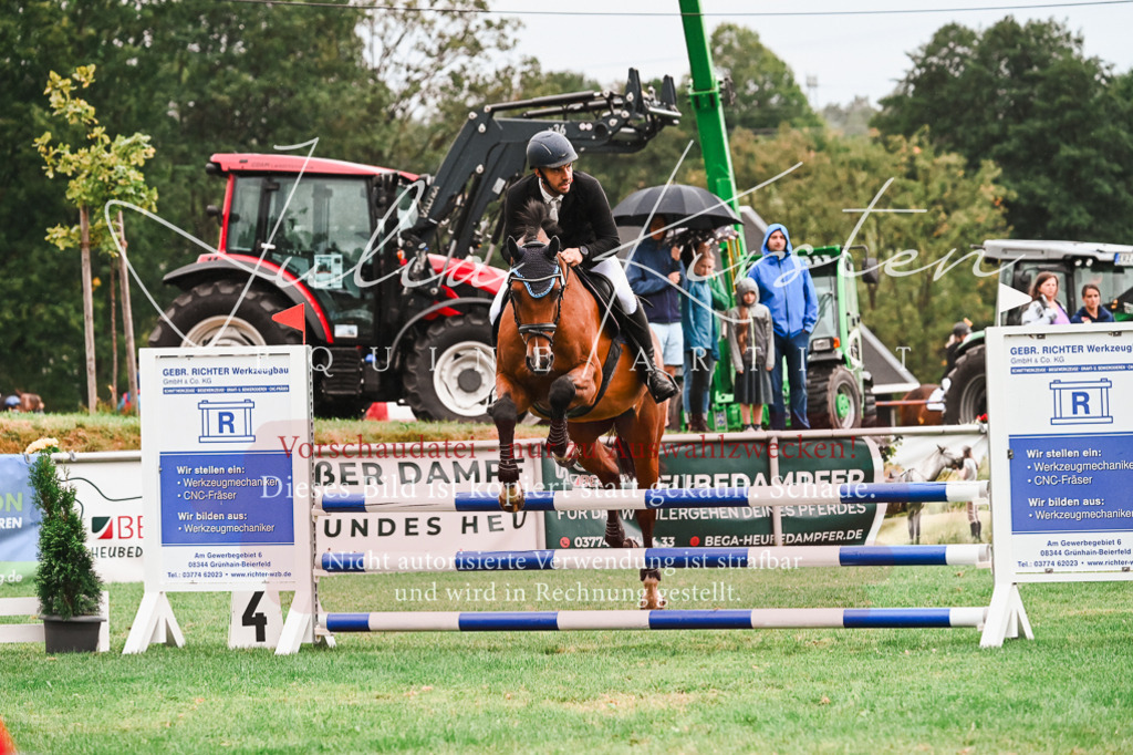 DSC_6337 | Pferde- und Turnierfotografie in Westsachsen. Pferdeportraits, Auftragszeichnungen und intuitive Kunst.