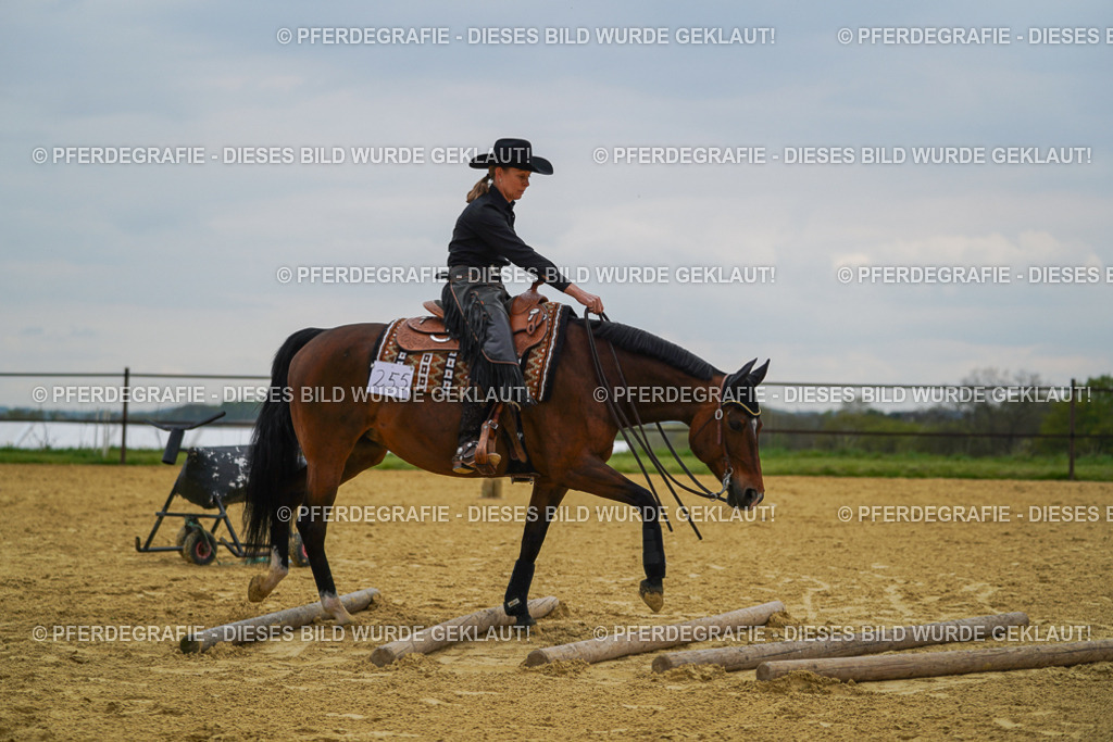 DSC07726 | Pferdegrafie