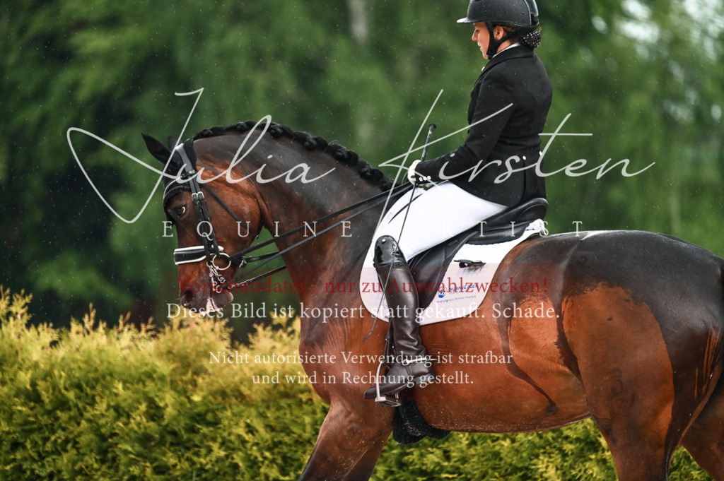 DSC_4188 | Pferde- und Turnierfotografie in Westsachsen. Pferdeportraits, Auftragszeichnungen und intuitive Kunst.