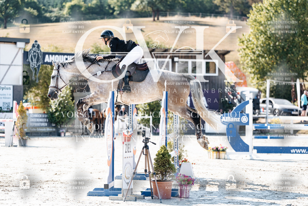 CK907626 | Turnierfotografie Pferdefotografie Trier Rheinland-Pfalz Pferdesport Reitsport Tierfotografie Sportfotografie Pferdevideo Pferdevideografie Equestrianvideography equestrianphotography  - Realisiert mit Pictrs.com