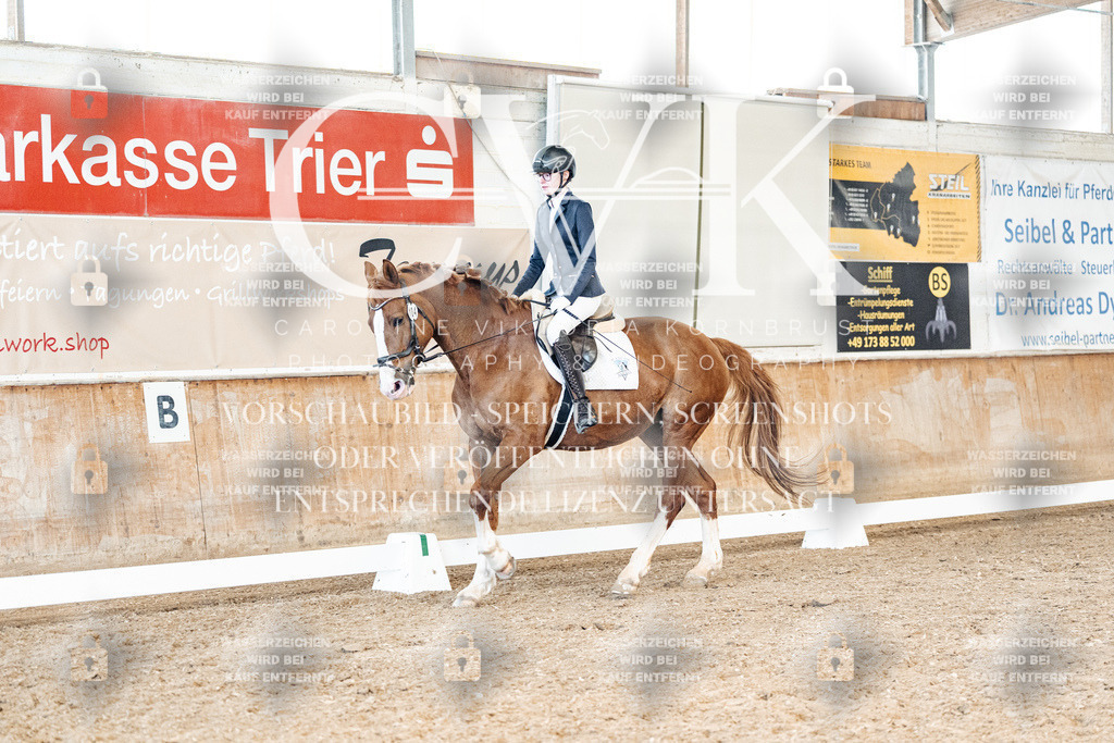 CK900071 | Turnierfotografie Pferdefotografie Trier Rheinland-Pfalz Pferdesport Reitsport Tierfotografie Sportfotografie Pferdevideo Pferdevideografie Equestrianvideography equestrianphotography  - Realisiert mit Pictrs.com