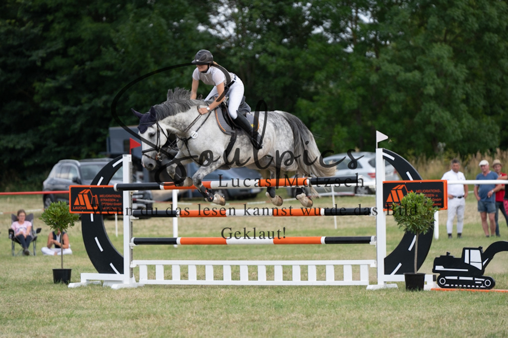 A7V02864 | Pferdefotograf