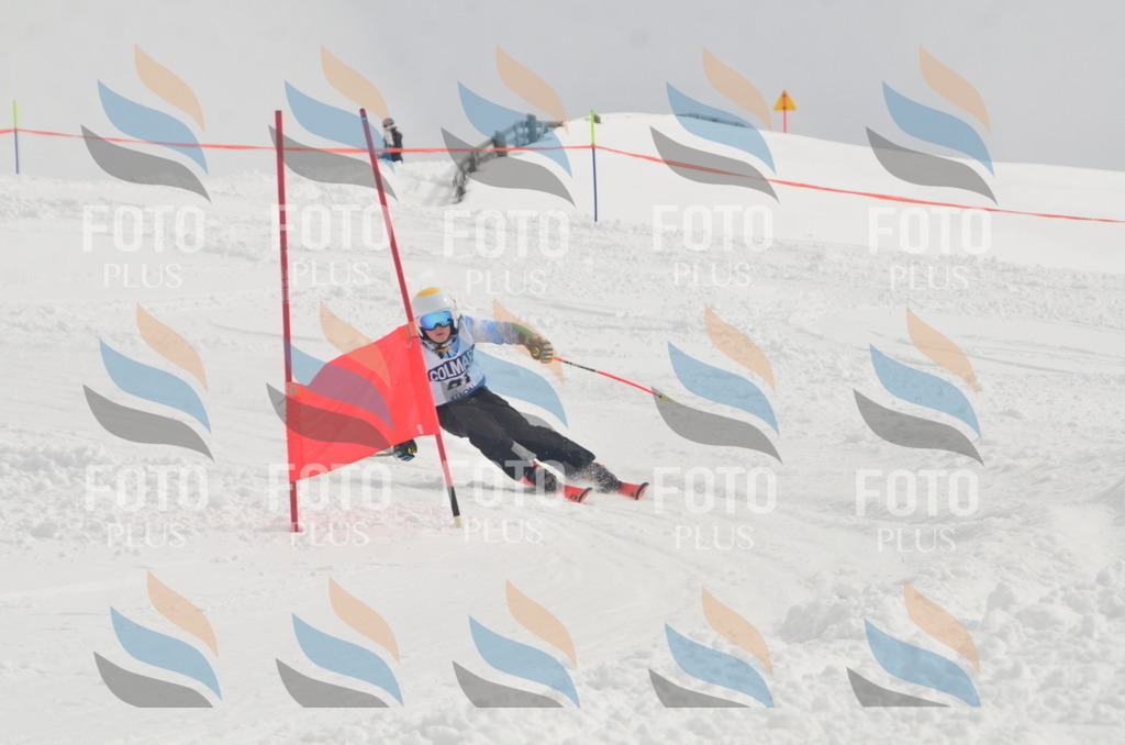 A5678 | holidayphoto