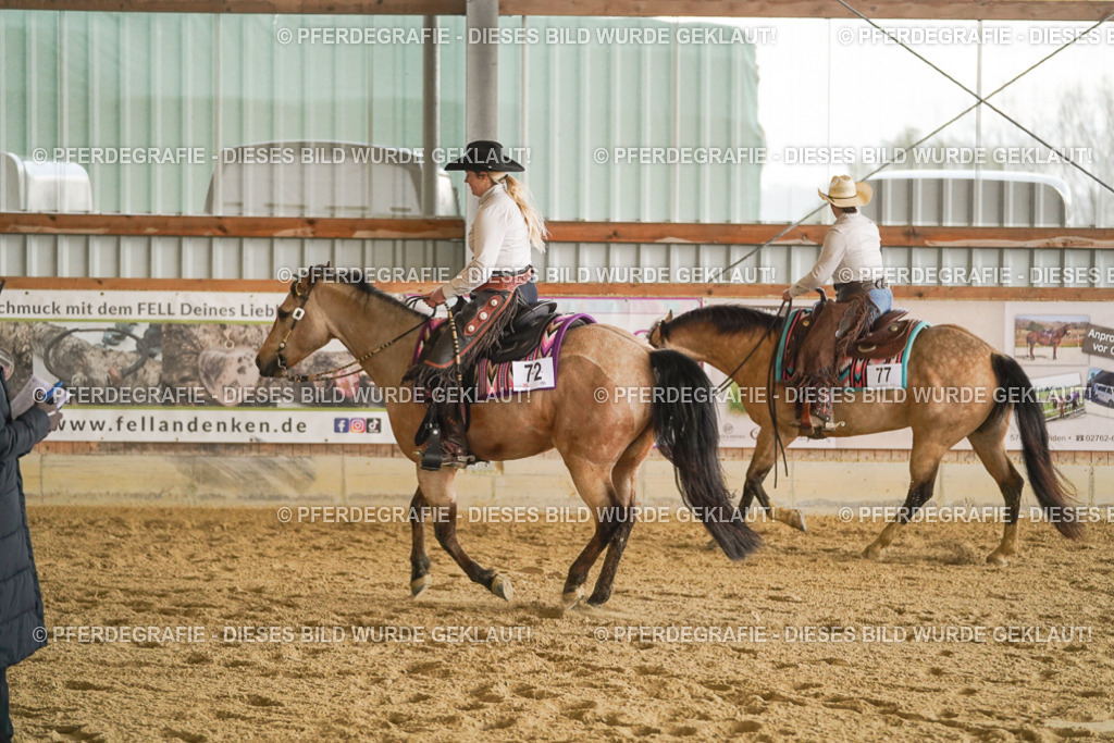 DSC07532 | Pferdegrafie