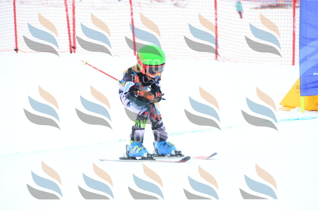 DSC_1594 | holidayphoto