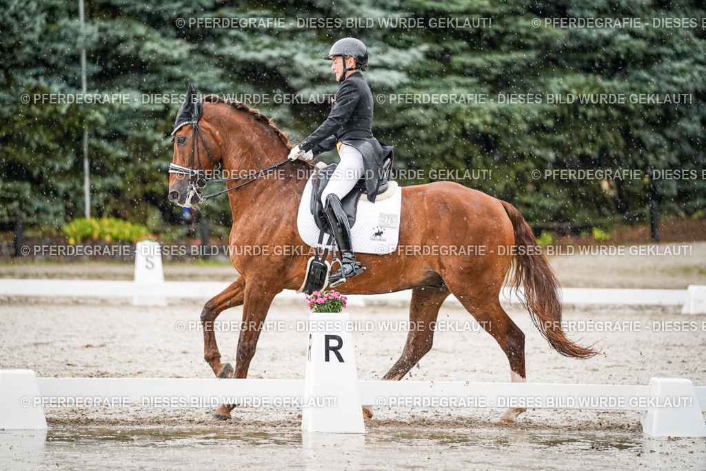 DSC08977 | Pferdegrafie