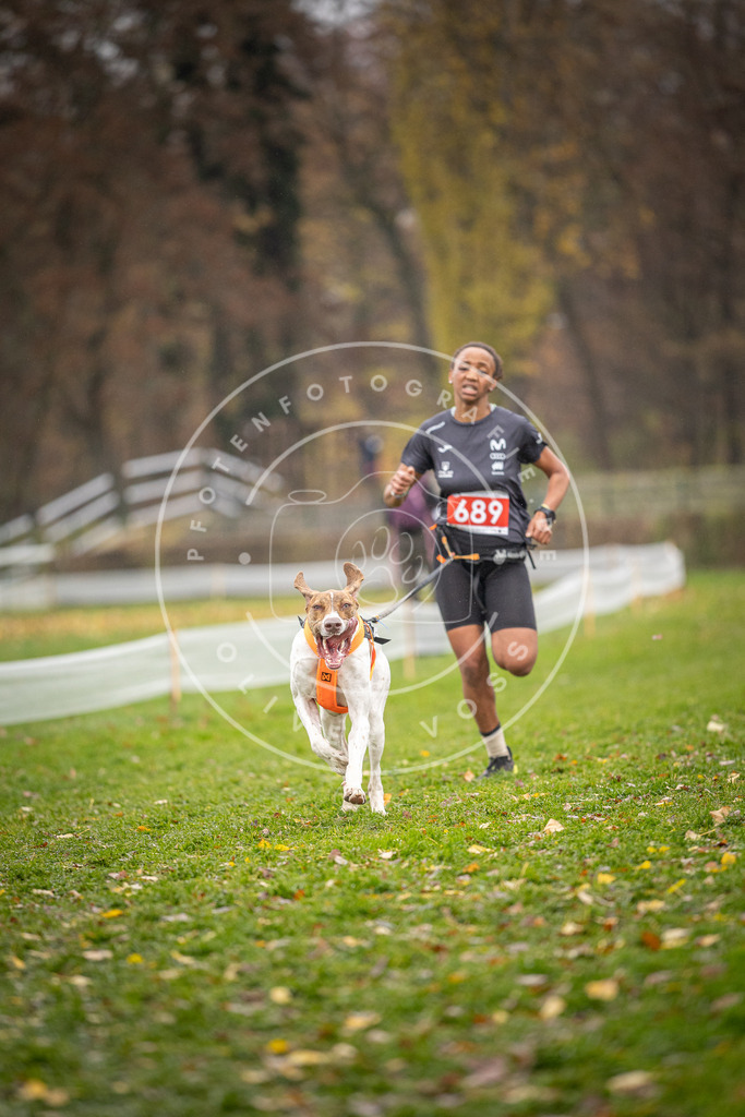 CaniXpix_DV3A8945 | Hundefotografie, Tierfotograf, Pfotenfotografie, Fotoshooting Hund, Hunde Portrait, Hundesport, Hundeportraits, Heideshooting, Hunde, Sportfotograf, Hundefotograf, Turnierhundsport, THS,  - Realisiert mit Pictrs.com