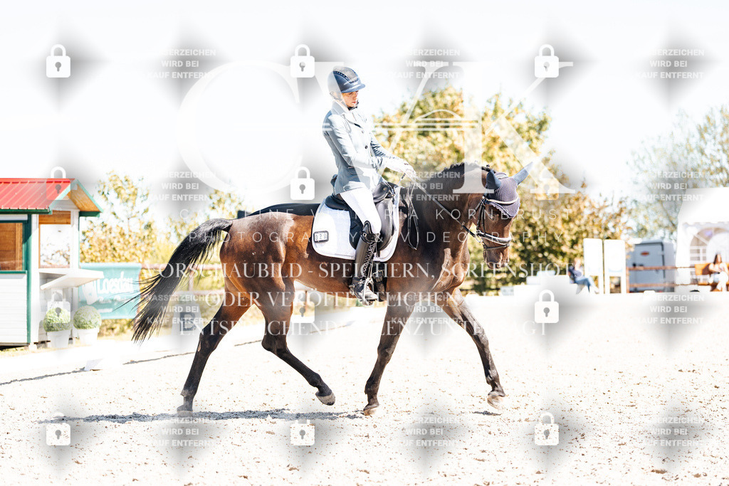 CK909792 | Turnierfotografie Pferdefotografie Trier Rheinland-Pfalz Pferdesport Reitsport Tierfotografie Sportfotografie Pferdevideo Pferdevideografie Equestrianvideography equestrianphotography  - Realisiert mit Pictrs.com