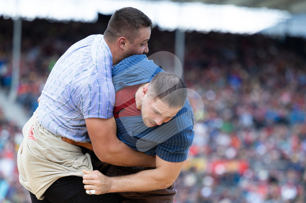 ESAF2025_04Gang_5603 | Die Schwinger des Schwyzer Kantonalen Schwingerverbandes: Fotos, die Dynamik und Leidenschaft festhalten, sowie emotionale Momente aus dem traditionellen Schwingsport zeigen. - Realisiert mit Pictrs.com