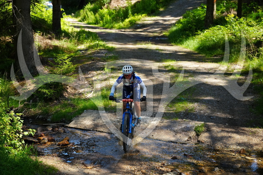 FC101917 | Fotogalerie der Treibjagd im Dunkelwald - Dein MTB Etappenrennen im Erzgebirge - Realisiert mit Pictrs.com