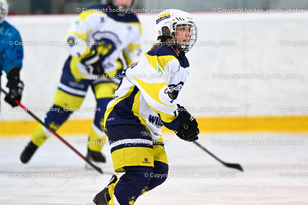 BST_6406 | hockey sports photos, Pressefotos, Sportfotos, hockey247, win 2day icehockeyleague, Handball Austria, Floorball Austria, ÖVV, Kärntner Eishockeyverband, KEHV, KFV, Kärntner Fussballverband, Österreichischer Volleyballverband, Alps Hockey League, ÖFB, 