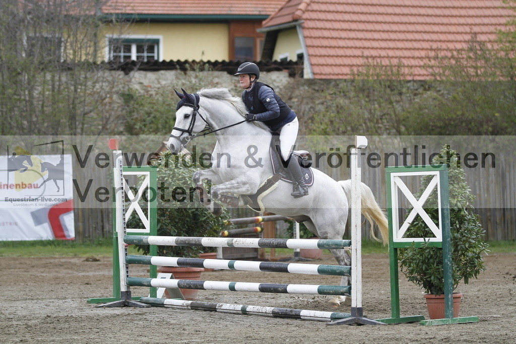 _MG_4498 | equestrian-live-com