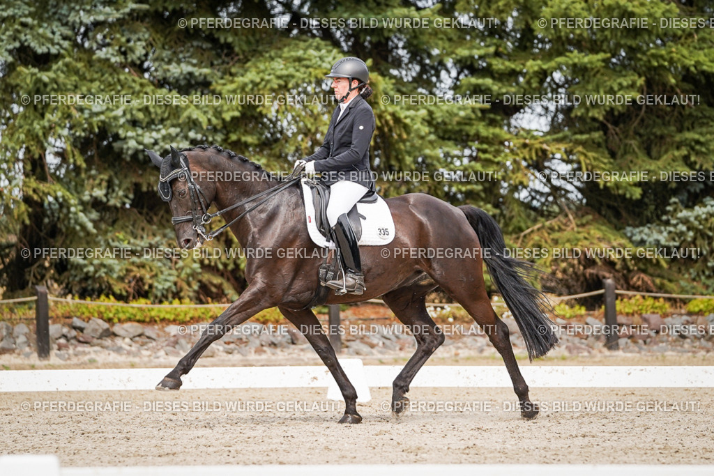 DSC06877 | Pferdegrafie