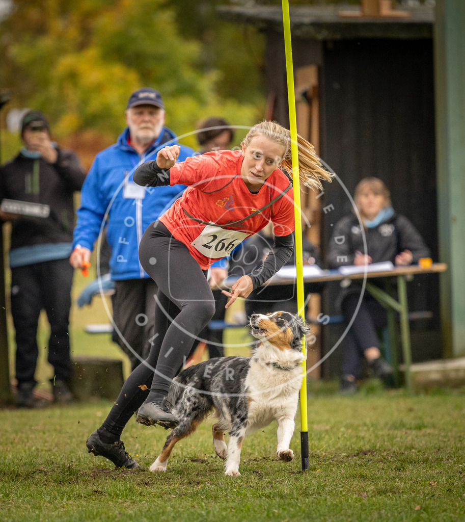 Pfotenfotografie_DV3A7089 | Hundefotografie, Tierfotograf, Pfotenfotografie, Fotoshooting Hund, Hunde Portrait, Hundesport, Hundeportraits, Heideshooting, Hunde, Sportfotograf, Hundefotograf, Turnierhundsport, THS,  - Realisiert mit Pictrs.com