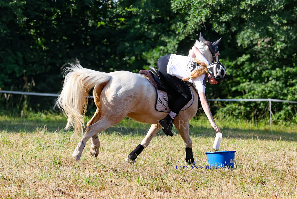 1B3A8562 | Reitsport Reiten
