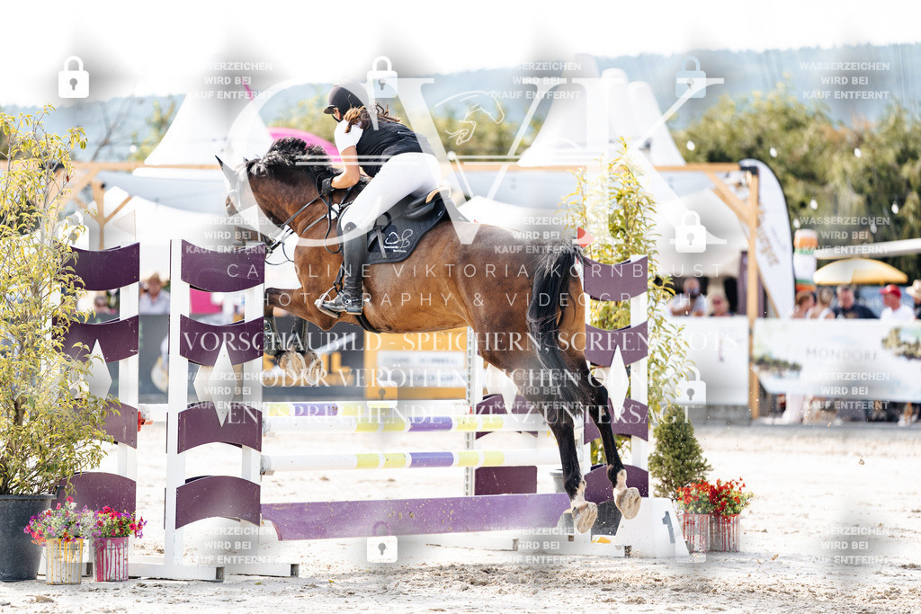 CK905848 | Turnierfotografie Pferdefotografie Trier Rheinland-Pfalz Pferdesport Reitsport Tierfotografie Sportfotografie Pferdevideo Pferdevideografie Equestrianvideography equestrianphotography  - Realisiert mit Pictrs.com