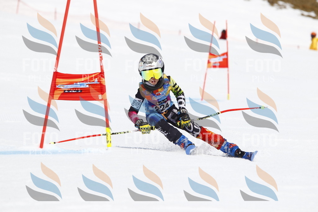 _U3G5784 | holidayphoto