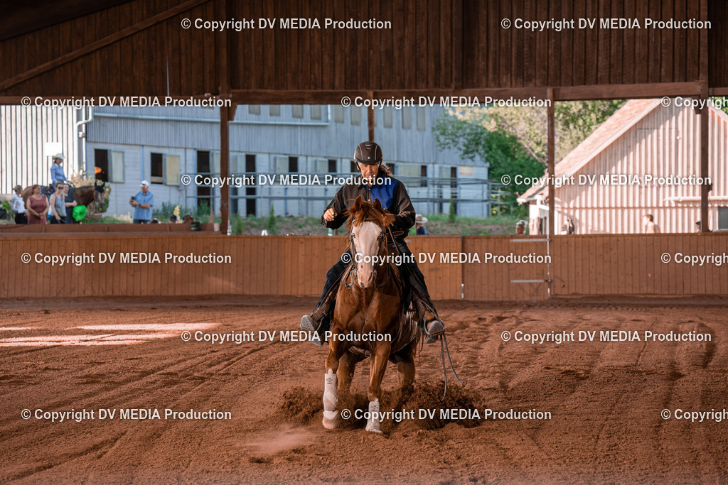 NE201331 | dv-media-shop - Realisiert mit Pictrs.com