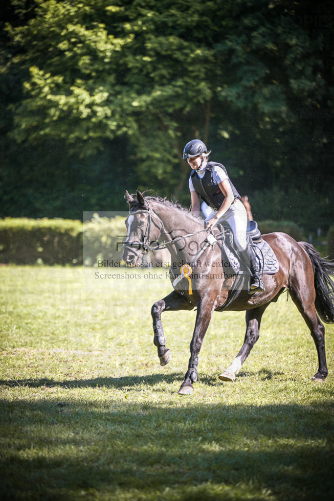 DOS_0664 | Entdecke hochwertige Reitturnierfotos von Foto Oger. Professionell, emotional und authentisch – jetzt Lieblingsmomente im Shop bestellen.Deutschlandweite Turnierfotografie. - Realisiert mit Pictrs.com