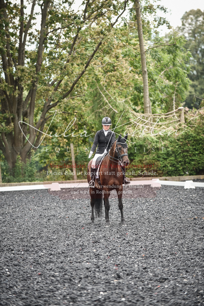 DSC_4910 | Pferde- und Turnierfotografie in Westsachsen. Pferdeportraits, Auftragszeichnungen und intuitive Kunst.