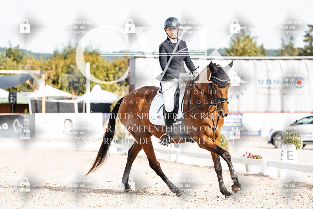 CK904924 | Turnierfotografie Pferdefotografie Trier Rheinland-Pfalz Pferdesport Reitsport Tierfotografie Sportfotografie Pferdevideo Pferdevideografie Equestrianvideography equestrianphotography  - Realisiert mit Pictrs.com