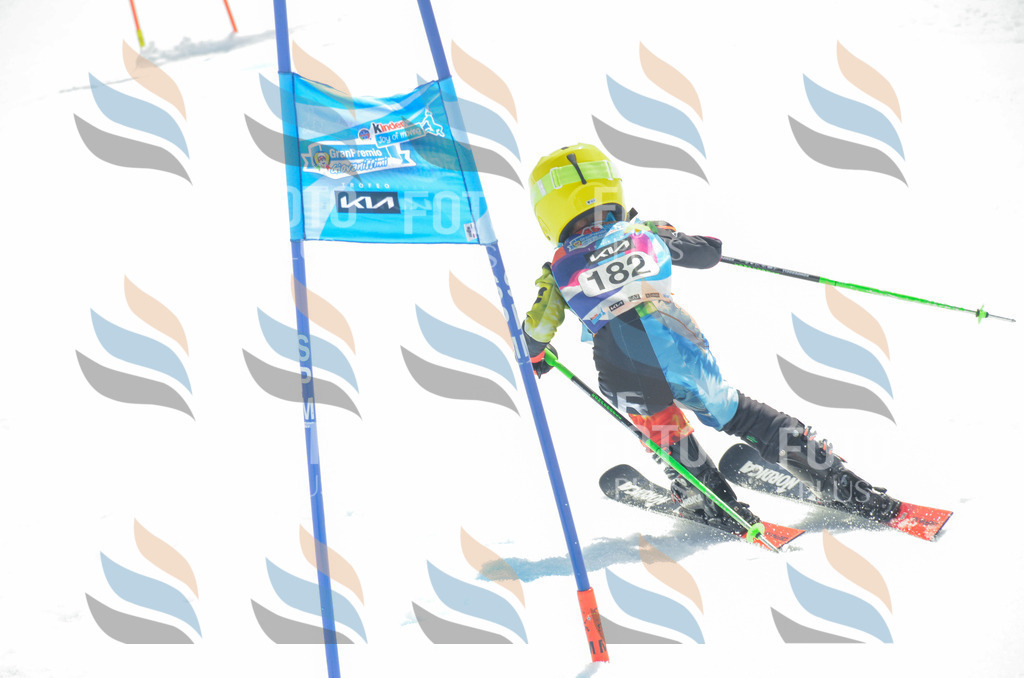 _ELE6702 | holidayphoto