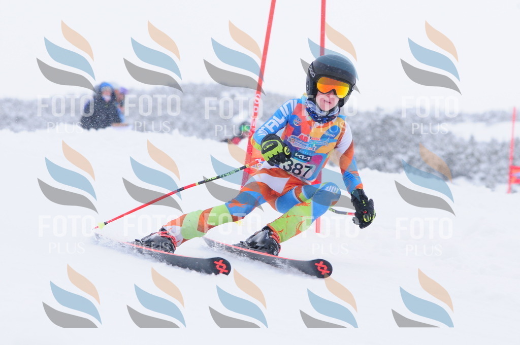 C4112 | holidayphoto