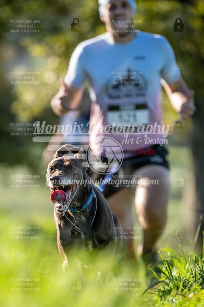 MompixPhotography_20TSB_E3_Run-165 | PayLife