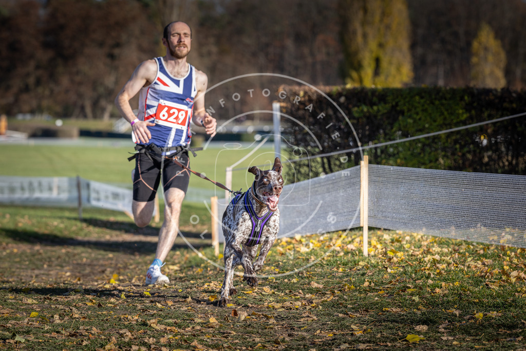 CaniXpix_DV3A0087 | Hundefotografie, Tierfotograf, Pfotenfotografie, Fotoshooting Hund, Hunde Portrait, Hundesport, Hundeportraits, Heideshooting, Hunde, Sportfotograf, Hundefotograf, Turnierhundsport, THS,  - Realisiert mit Pictrs.com