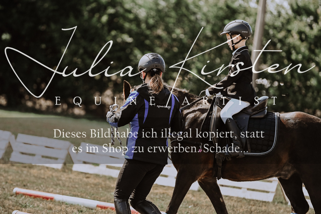DSC_7985 | Pferde- und Turnierfotografie in Westsachsen. Pferdeportraits, Auftragszeichnungen und intuitive Kunst.