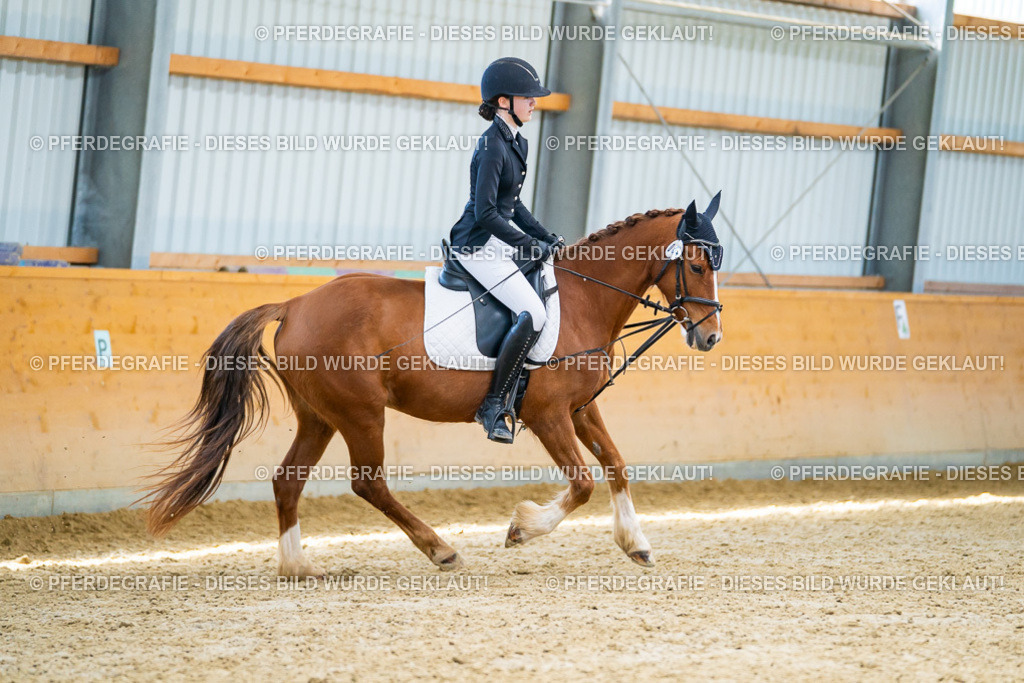 DSC08849 | Pferdegrafie