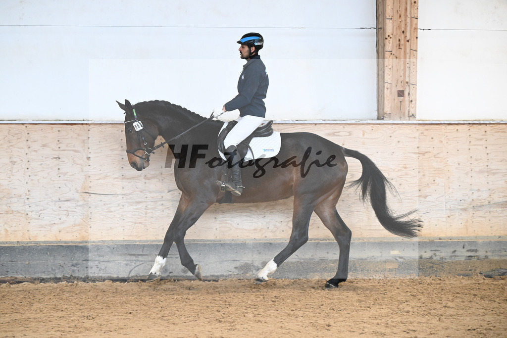 Kat-Nr. 7 Polly v. Vingino_Wernthaler_50250288 | hf-fotografie - Realisiert mit Pictrs.com